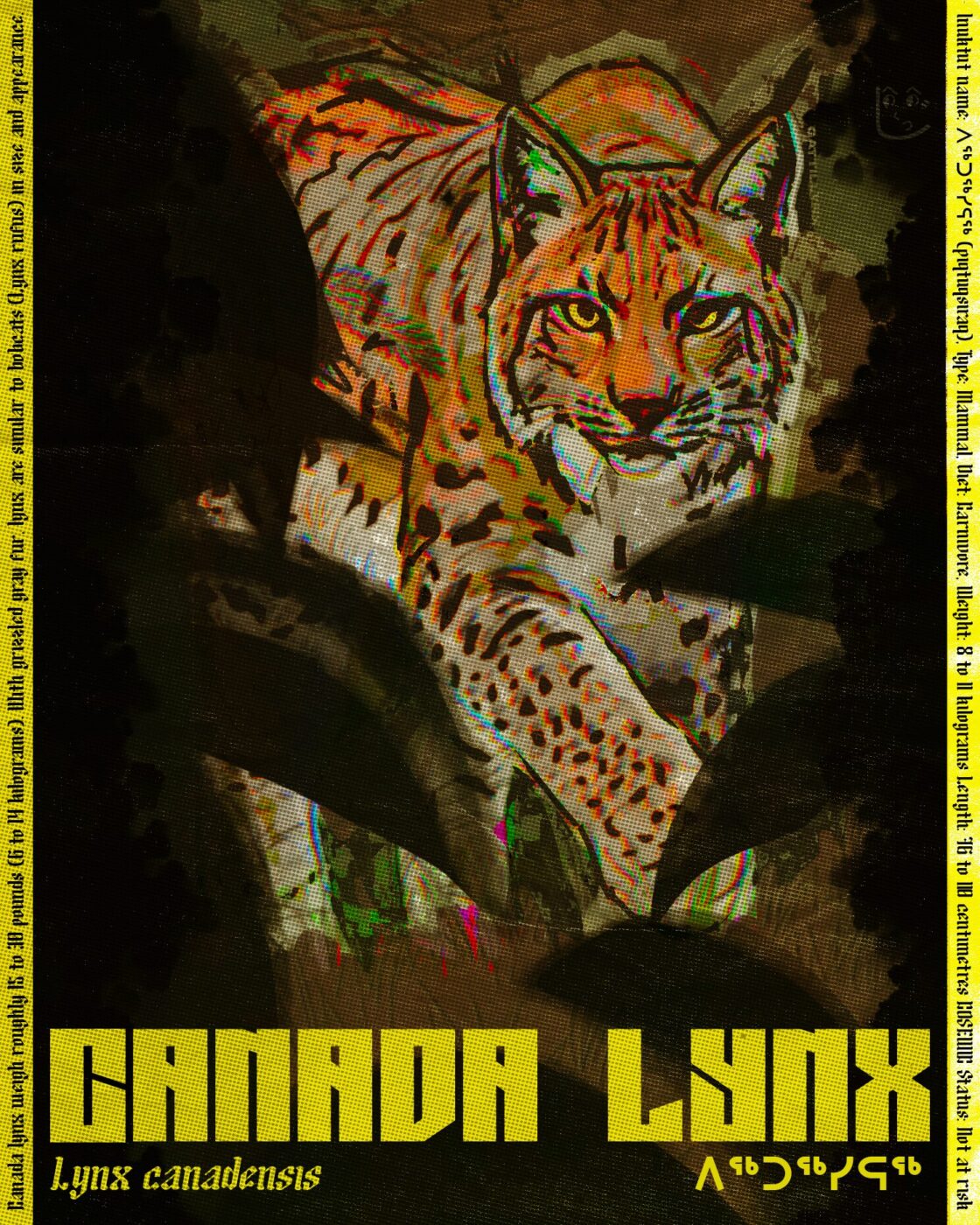 Canada Lynx (2026)